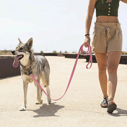 LAISSE POUR CHIEN | LONGECANINE™