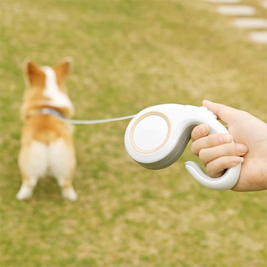 Laisse chien | Enrouleur Kimpets - Les chiens beaux