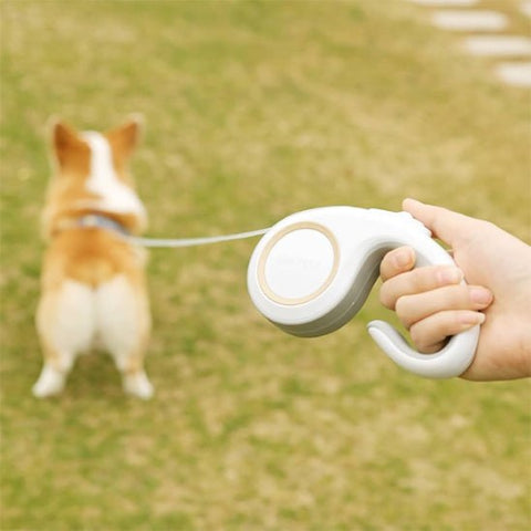 laisse chien enrouleur kimpets blanche durable