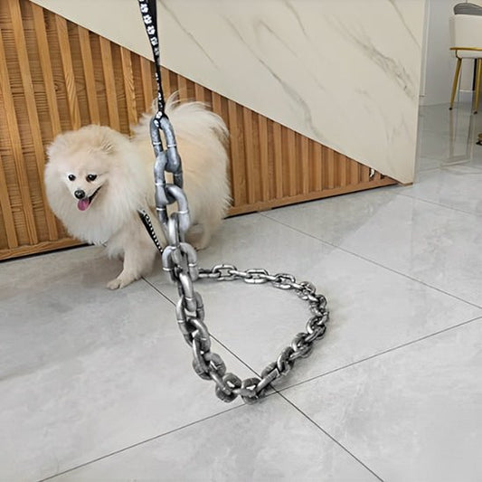 LAISSE CHIEN | FAUSSE CHAINE EN PLASTIQUE - Les chiens beaux