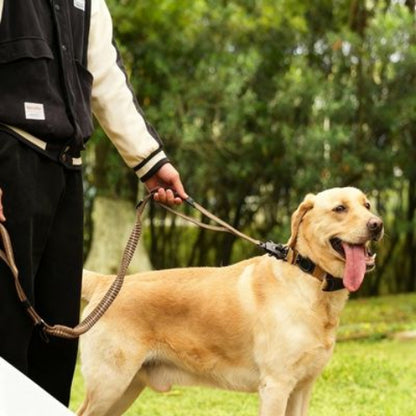 laisse chien tactique tres essentiel