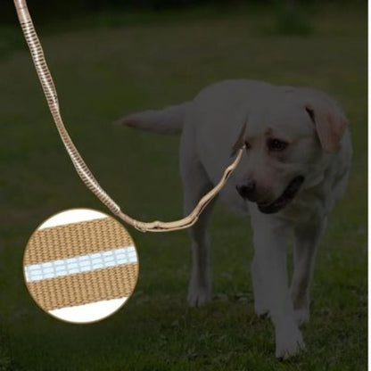 laisse chien tactique visible la nuit