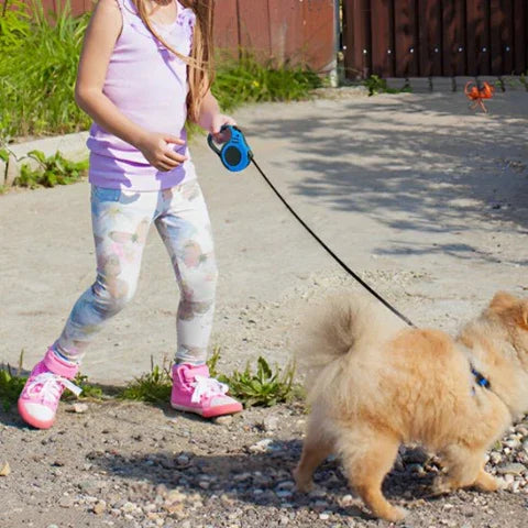 laisse de chien retractable chienflex bleue