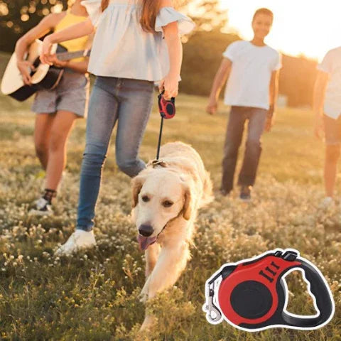 laisse de chien retractable chienflex rouge