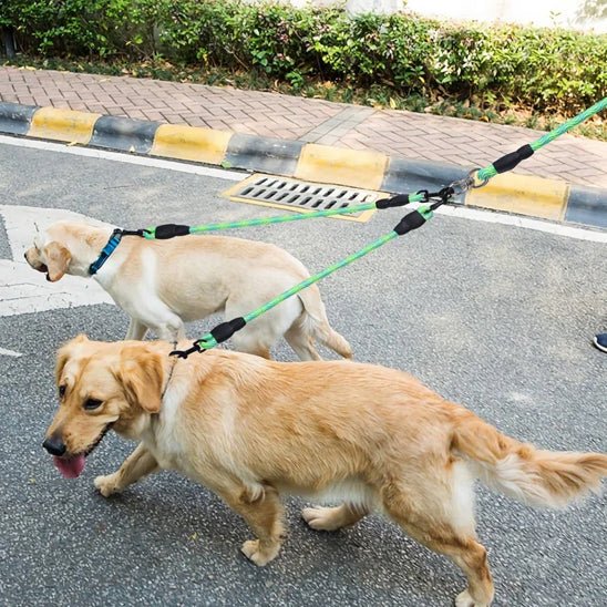 LAISSE DOUBLE POUR CHIEN | COUPLEUR AVEC POIGNÉE - Les chiens beaux