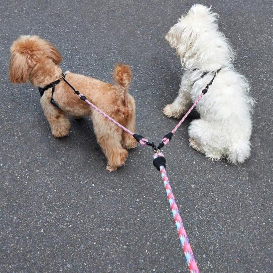 LAISSE DOUBLE POUR CHIEN | COUPLEUR AVEC POIGNÉE - Les chiens beaux