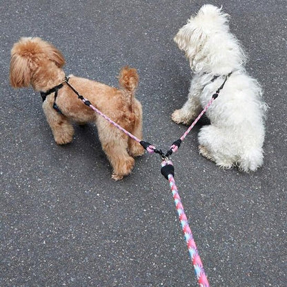 LAISSE DOUBLE POUR CHIEN | COUPLEUR AVEC POIGNÉE - Les chiens beaux