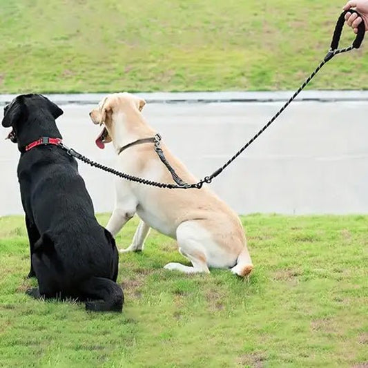 LAISSE DOUBLE POUR CHIEN - COUPLEUR WALK 2 AVEC POIGNÉE - Les chiens beaux