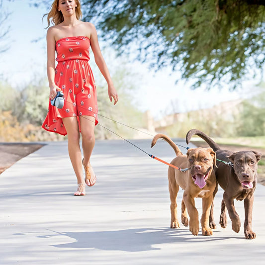 Laisse enrouleur | LED roulette - Les chiens beaux