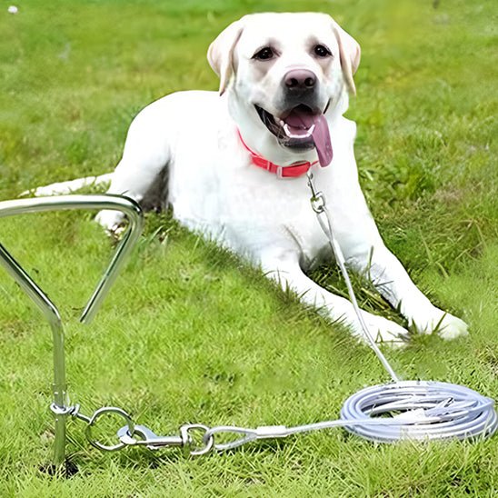 LAISSE POUR CHIEN À FIL AVEC CLIP | CABLE EN ACIER - Les chiens beaux