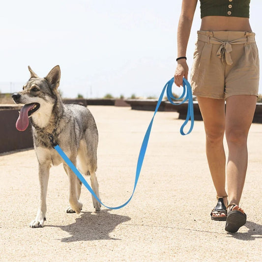 laisse pour chien - Longecanine