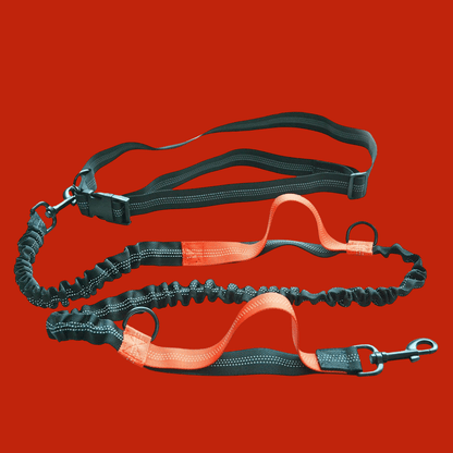 LAISSE POUR CHIEN | CEINTURE MAINS LIBRES REGLABLE - Les chiens beaux