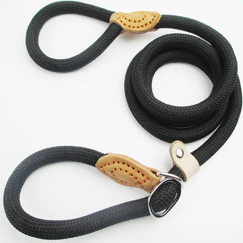 LAISSE POUR CHIEN | CORDE COULISSANTE EN PLOMB - Les chiens beaux