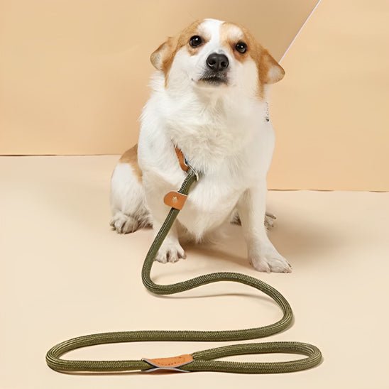 LAISSE POUR CHIEN | CORDE COULISSANTE EN PLOMB - Les chiens beaux