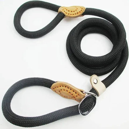 laisse pour chien corde coulissante en plomb noire