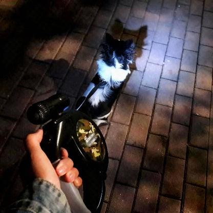 laisse pour chien illuminante