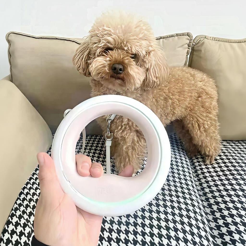 Laisse pour chien | LED rétractable - Les chiens beaux