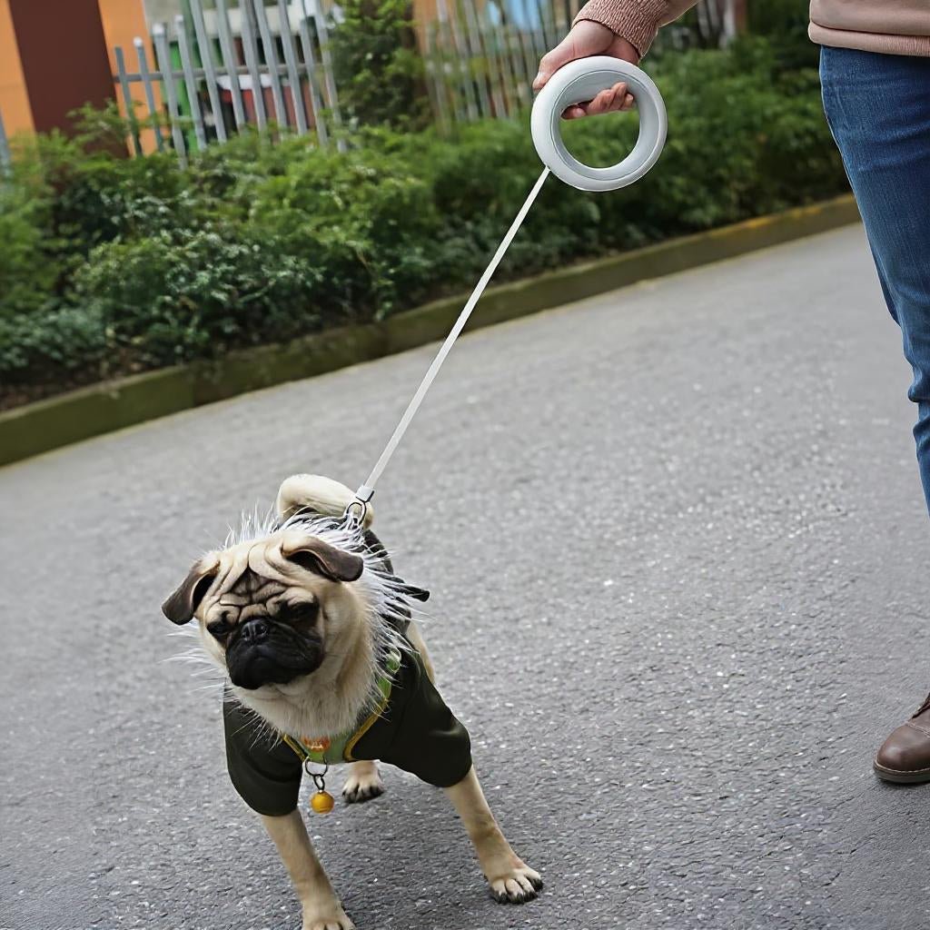 Laisse pour chien | LED rétractable - Les chiens beaux