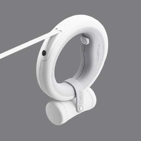 laisse pour chien led retractable grise avec ramasse crottes