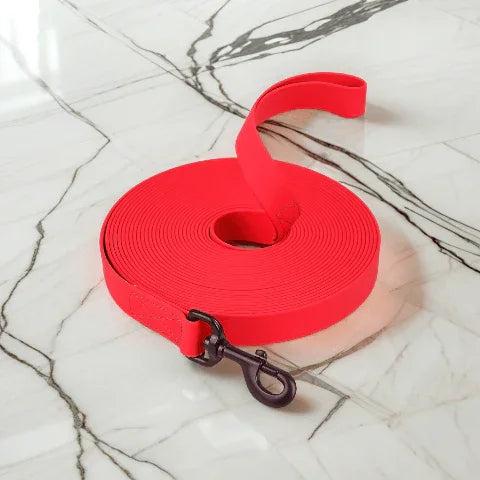 laisse pour chien longecanine rouge