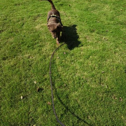 laisse pour chien longue corde de dressage rembourree noire