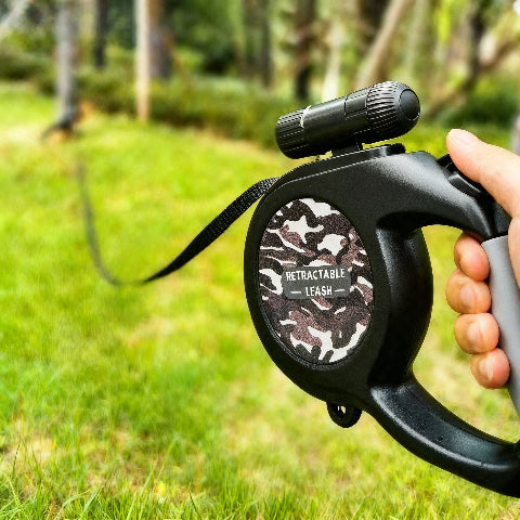 laisse pour chien lumineuse la nuit