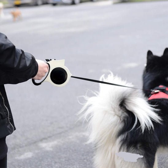 LAISSE POUR CHIEN RÉCTRACTABLE ÉCLAIRÉE | LUMIPAW - Les chiens beaux