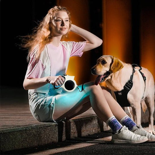 LAISSE POUR CHIEN RÉCTRACTABLE ÉCLAIRÉE | LUMIPAW - Les chiens beaux