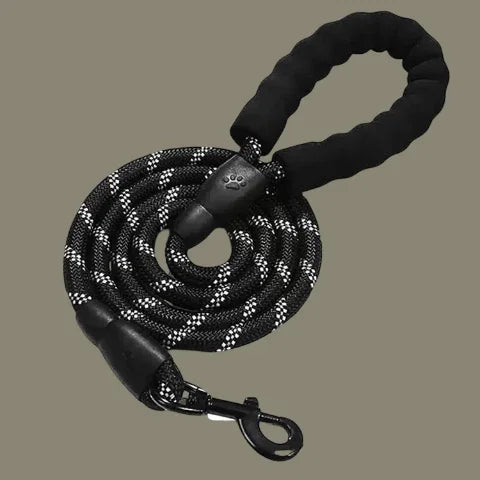 laisse pour chien rembouree noire