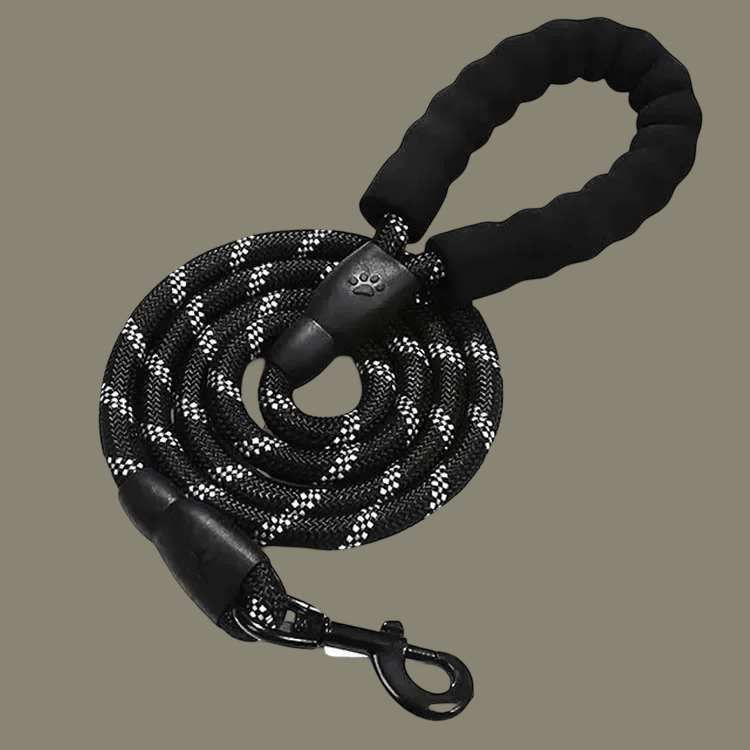 LAISSE POUR CHIEN REMBOUREE | REFLECTIPAW - Les chiens beaux