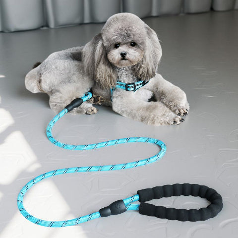 laisse pour chien rembourree bleue durable
