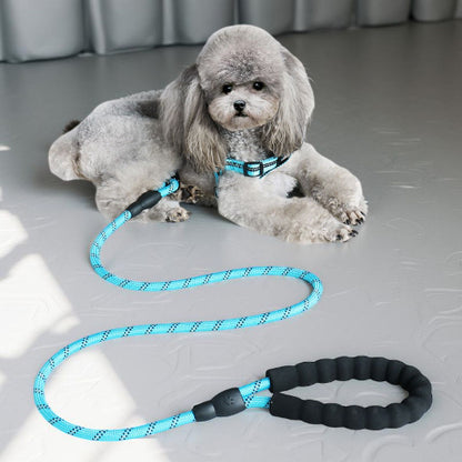 laisse pour chien rembourree bleue durable