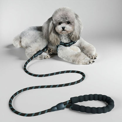 laisse pour chien rembourree noire indispensable