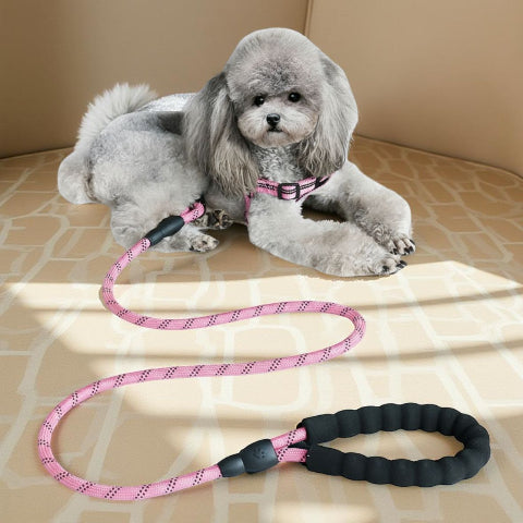 laisse pour chien rembourree rose de bonne qualite