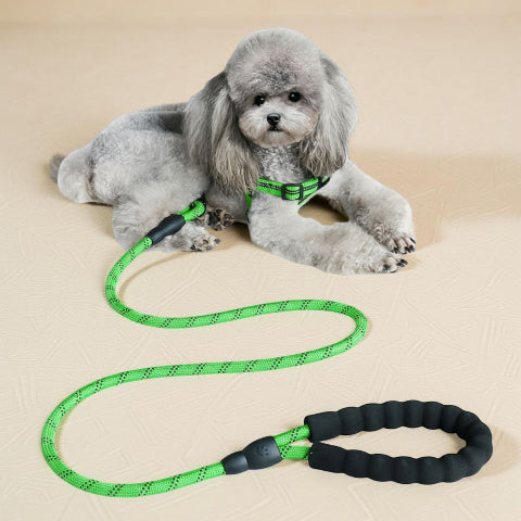laisse pour chien rembourree verte robuste