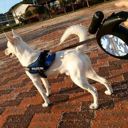 laisse pour chien retractable