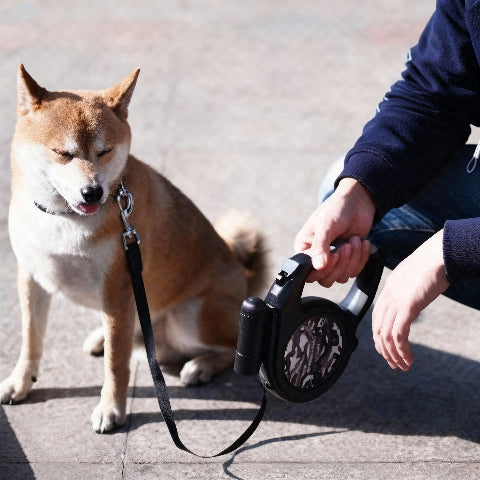 laisse pour chien tellement robuste
