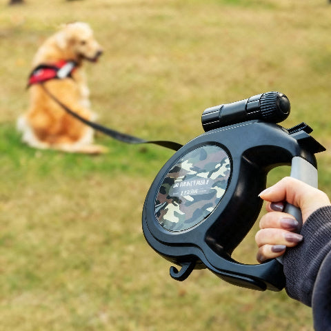 laisse pour chien essentielle pour les promenades