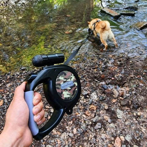 laisse pour chien tres solide