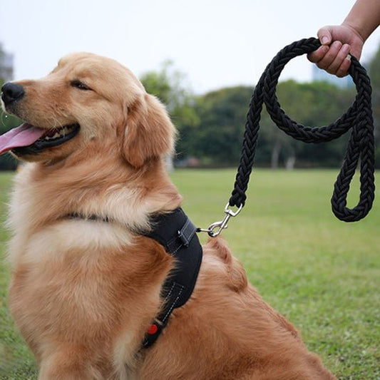 Laisse pour chien tressée en nylon à deux brins | Corde tissée à Chevrons - Les chiens beaux