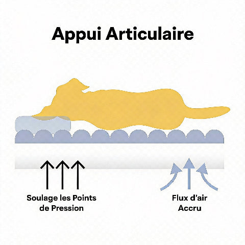 lit pour chien avec douceur au toucher