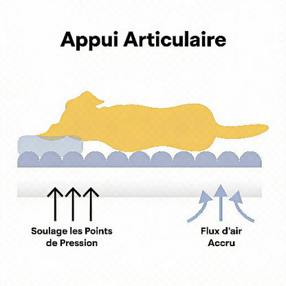 lit pour chien avec douceur au toucher