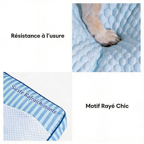 lit pour chien avec tissu anti odeurs