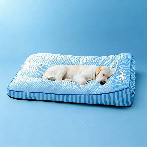 lit pour chien bien etre immediat