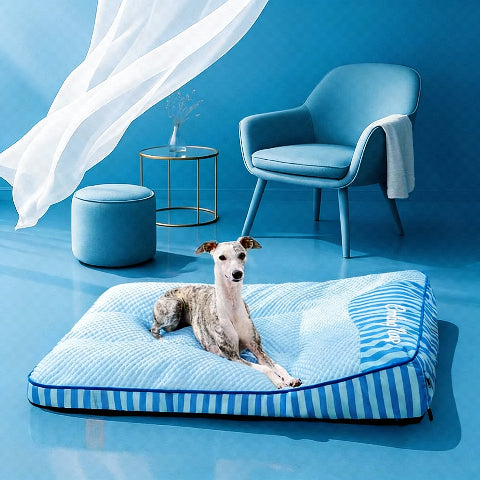 lit pour chien evacue la chaleur corporelle