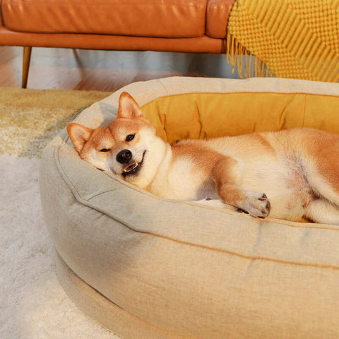 lit pour chien hygiene de couchage