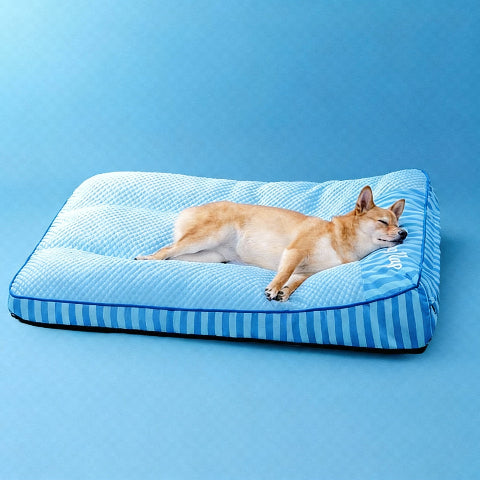 lit pour chien ideal pour les articulations sensibles