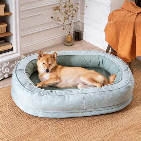 lit pour chien impeccable