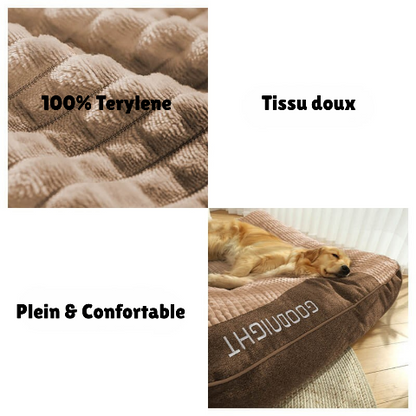 lit pour chien plein