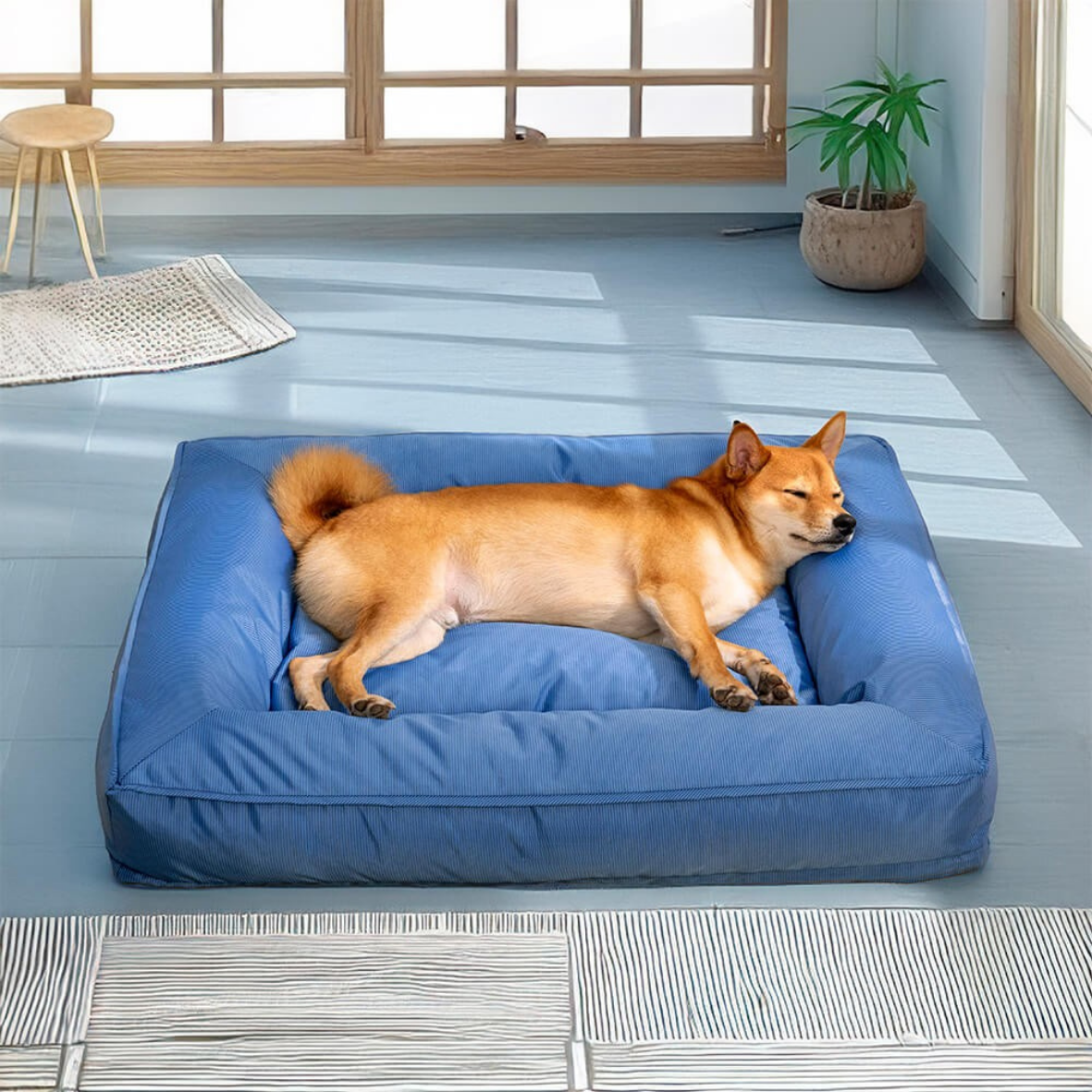 Lit pour chien Orthopédique | ComfortCare™